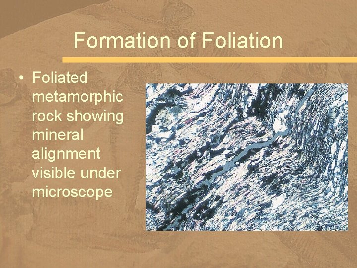 Formation of Foliation • Foliated metamorphic rock showing mineral alignment visible under microscope 