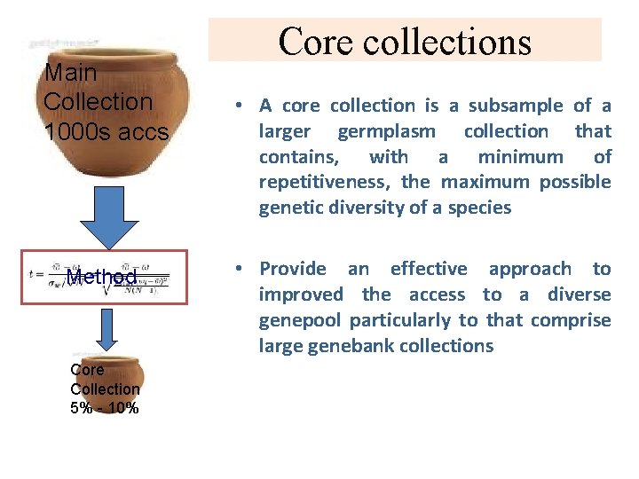 Main Collection 1000 s accs Method Core Collection 5% - 10% Core collections •