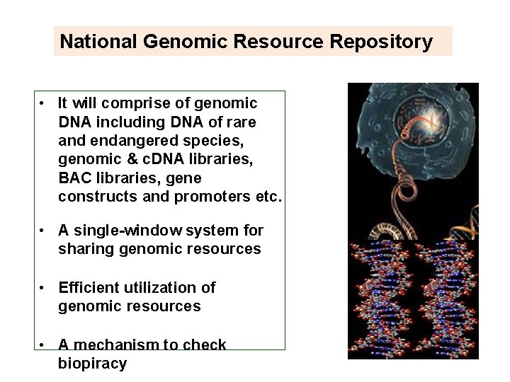 National Genomic Resource Repository • It will comprise of genomic DNA including DNA of