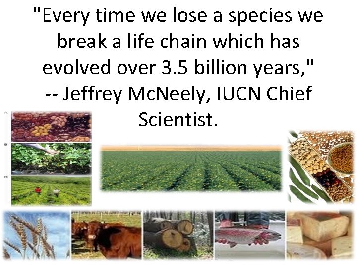 "Every time we lose a species we break a life chain which has evolved