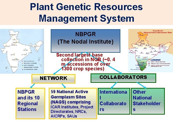 Plant Genetic Resources Management System NBPGR (The Nodal Institute) Second largest base collection in