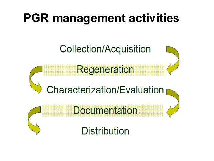 PGR management activities 