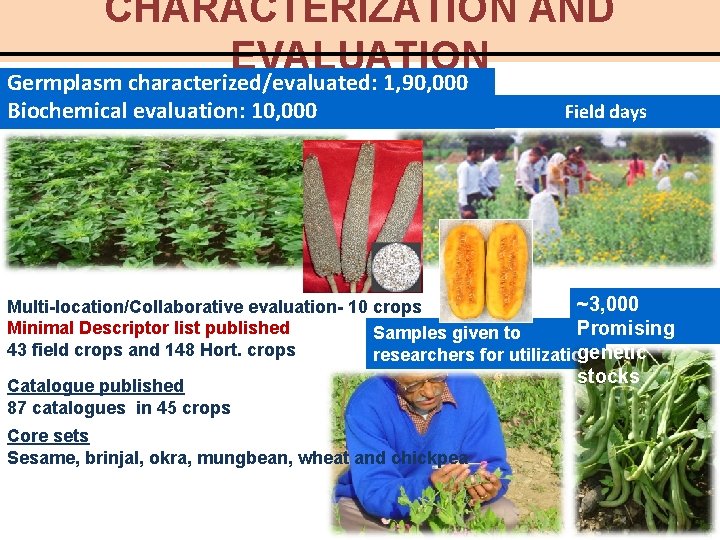 CHARACTERIZATION AND EVALUATION Germplasm characterized/evaluated: 1, 90, 000 Biochemical evaluation: 10, 000 Field days