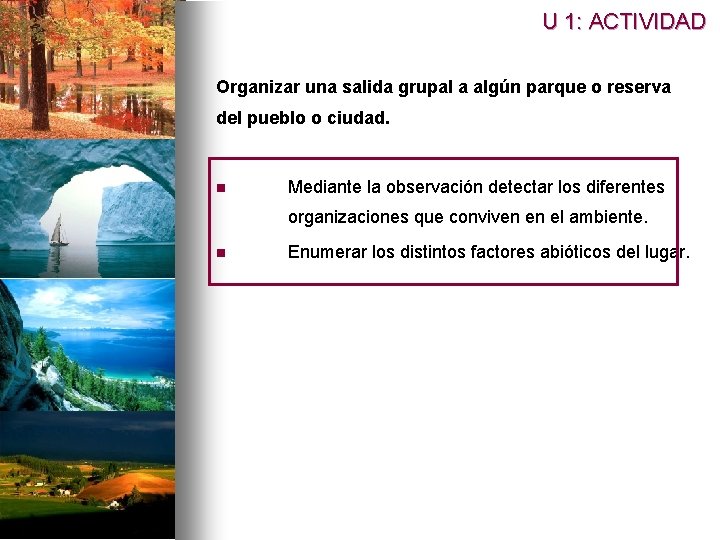 U 1: ACTIVIDAD Organizar una salida grupal a algún parque o reserva del pueblo