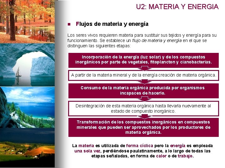 U 2: MATERIA Y ENERGIA n Flujos de materia y energía Los seres vivos