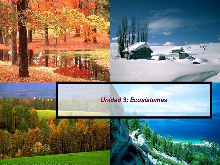 Unidad 3: Ecosistemas 