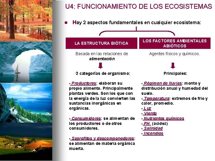 U 4: FUNCIONAMIENTO DE LOS ECOSISTEMAS Hay 2 aspectos fundamentales en cualquier ecosistema: n