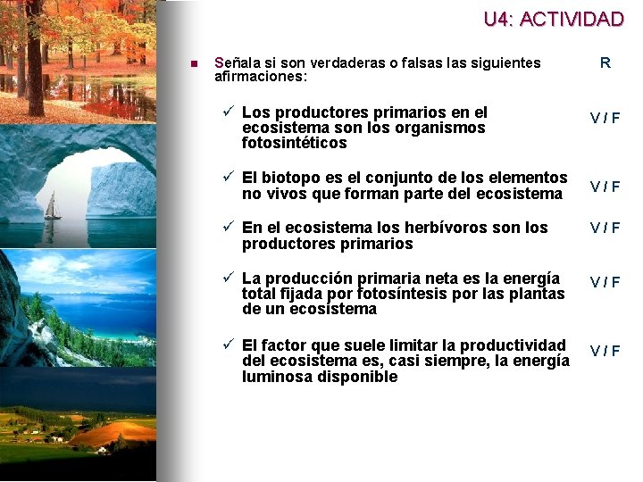 U 4: ACTIVIDAD n Señala si son verdaderas o falsas las siguientes afirmaciones: ü