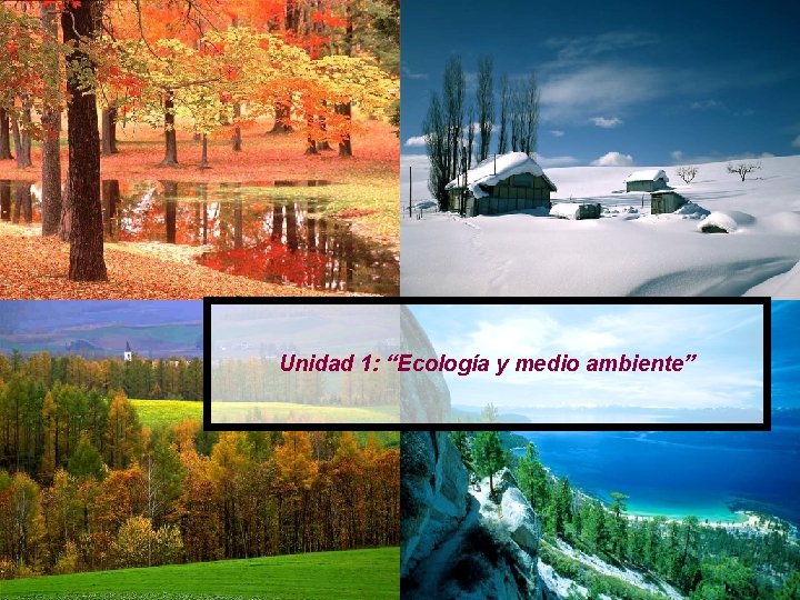 Unidad 1: “Ecología y medio ambiente” 