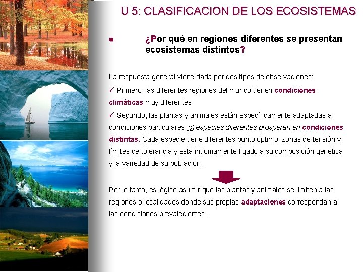 U 5: CLASIFICACION DE LOS ECOSISTEMAS n ¿Por qué en regiones diferentes se presentan