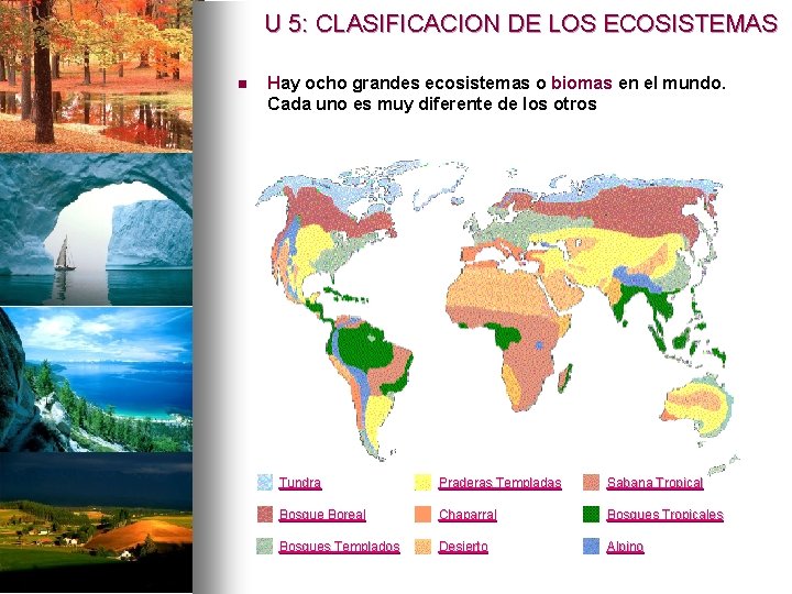 U 5: CLASIFICACION DE LOS ECOSISTEMAS n Hay ocho grandes ecosistemas o biomas en