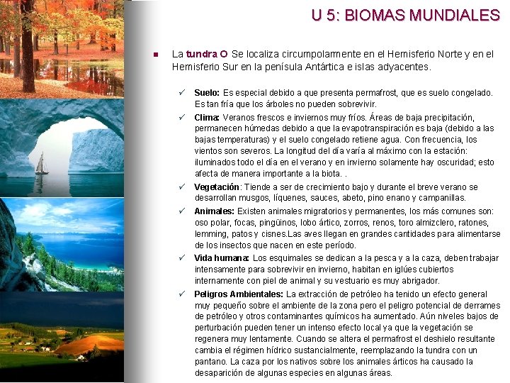 U 5: BIOMAS MUNDIALES n La tundra Se localiza circumpolarmente en el Hemisferio Norte