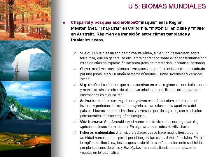 U 5: BIOMAS MUNDIALES n Chaparral y bosques esclerófilos “maquis” en la Región Mediterránea,