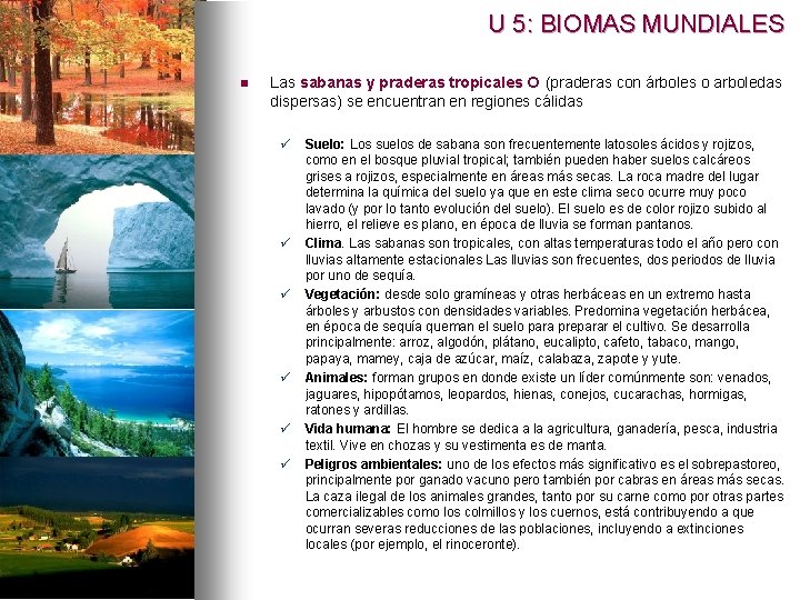 U 5: BIOMAS MUNDIALES n Las sabanas y praderas tropicales (praderas con árboles o