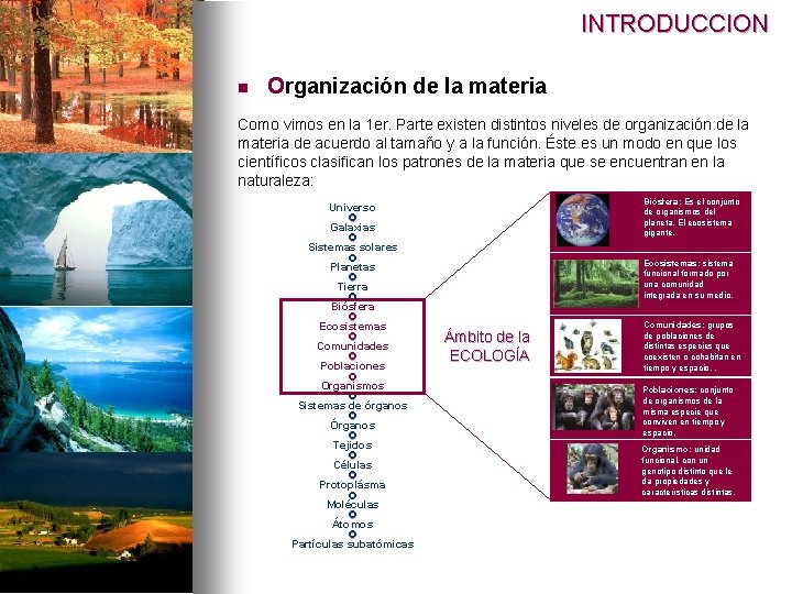 INTRODUCCION n Organización de la materia Como vimos en la 1 er. Parte existen