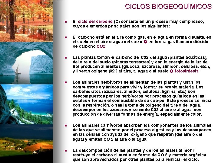 CICLOS BIOGEOQUÍMICOS n El ciclo del carbono (C) consiste en un proceso muy complicado,