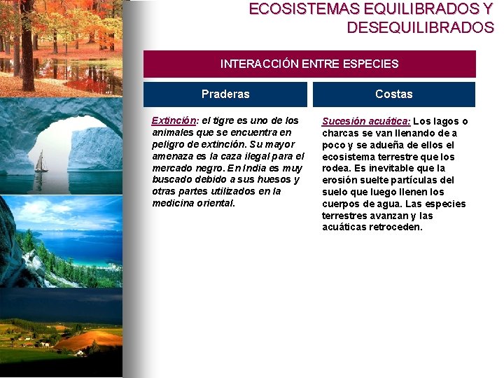 ECOSISTEMAS EQUILIBRADOS Y DESEQUILIBRADOS INTERACCIÓN ENTRE ESPECIES Praderas Costas Extinción: el tigre es uno