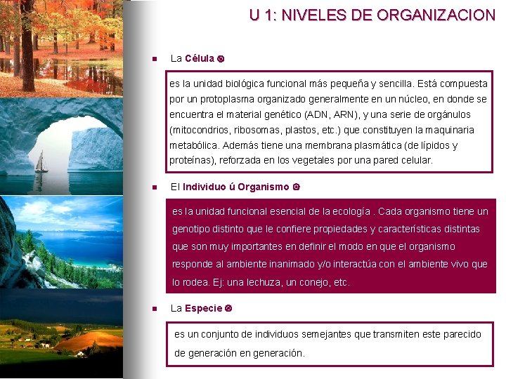 U 1: NIVELES DE ORGANIZACION n La Célula es la unidad biológica funcional más