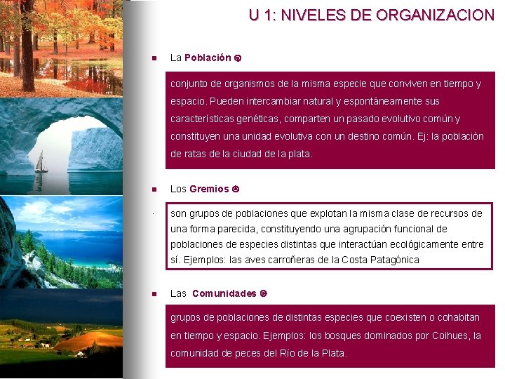 U 1: NIVELES DE ORGANIZACION n La Población conjunto de organismos de la misma