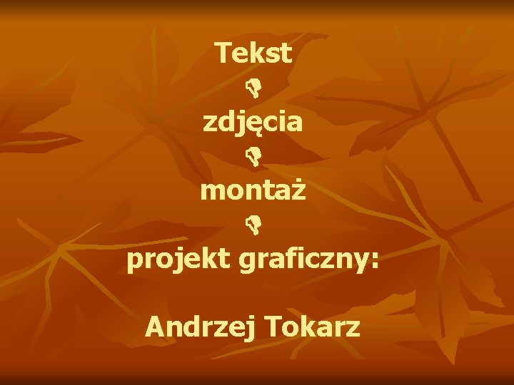 Tekst D zdjęcia D montaż D projekt graficzny: Andrzej Tokarz 