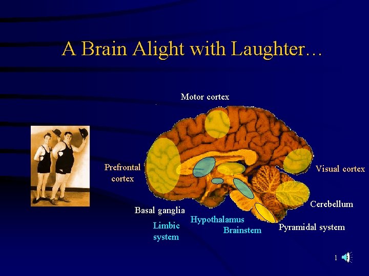 A Brain Alight with Laughter… Motor cortex Prefrontal cortex Visual cortex Basal ganglia Limbic