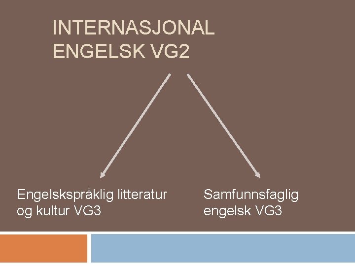 INTERNASJONAL ENGELSK VG 2 Engelskspråklig litteratur og kultur VG 3 Samfunnsfaglig engelsk VG 3