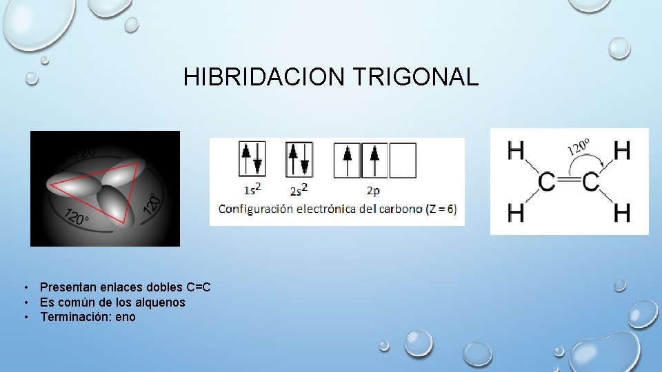 HIBRIDACION TRIGONAL • Presentan enlaces dobles C=C • Es común de los alquenos •