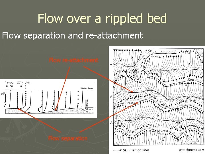 Flow over a rippled bed Flow separation and re-attachment Flow separation 