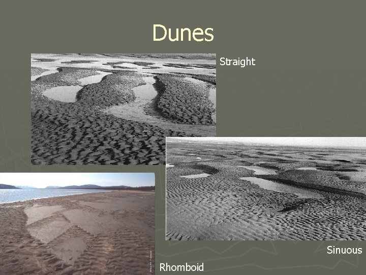 Dunes Straight Sinuous Rhomboid 