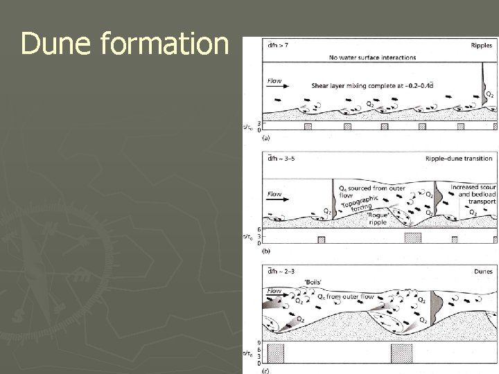 Dune formation 
