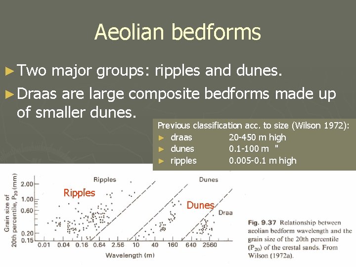 Aeolian bedforms ► Two major groups: ripples and dunes. ► Draas are large composite