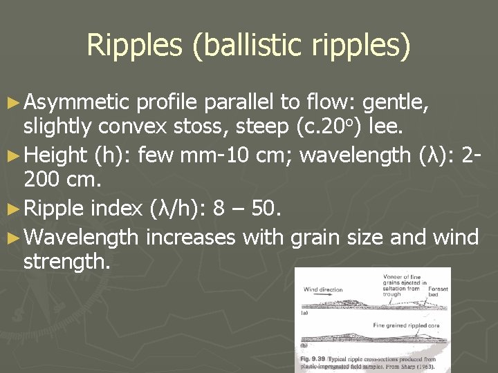 Ripples (ballistic ripples) ► Asymmetic profile parallel to flow: gentle, slightly convex stoss, steep