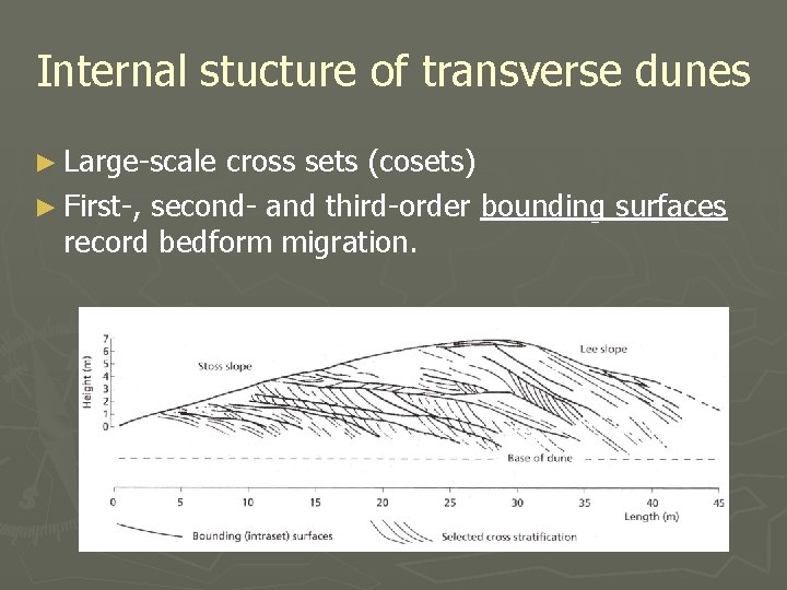 Internal stucture of transverse dunes ► Large-scale cross sets (cosets) ► First-, second- and