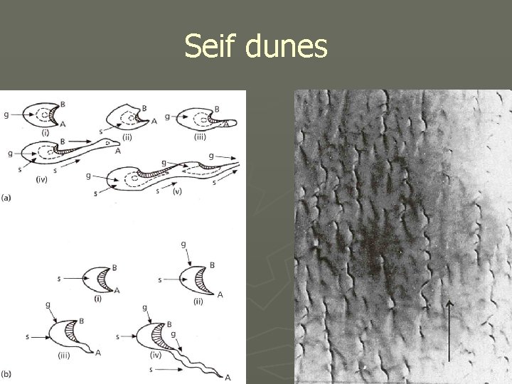 Seif dunes 