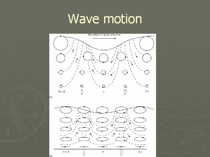 Wave motion 