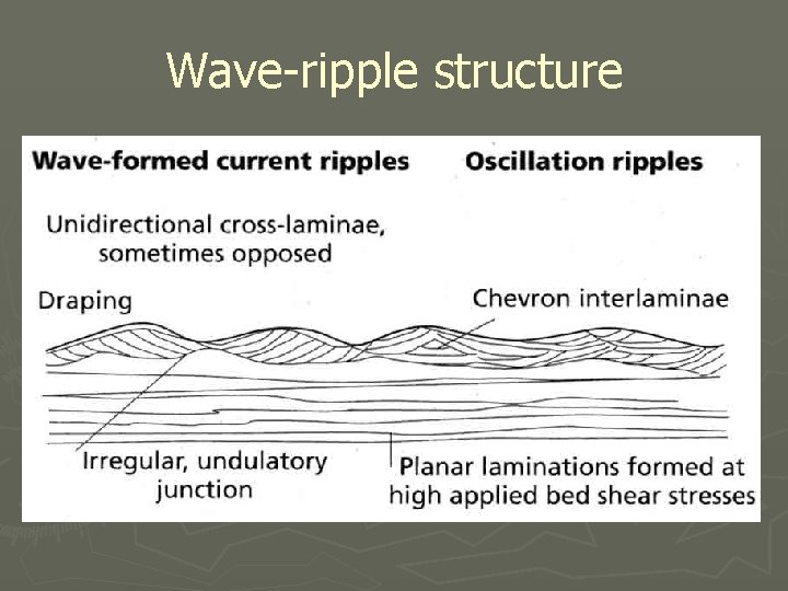 Wave-ripple structure 
