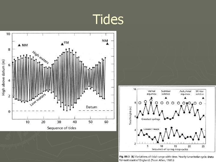 Tides 