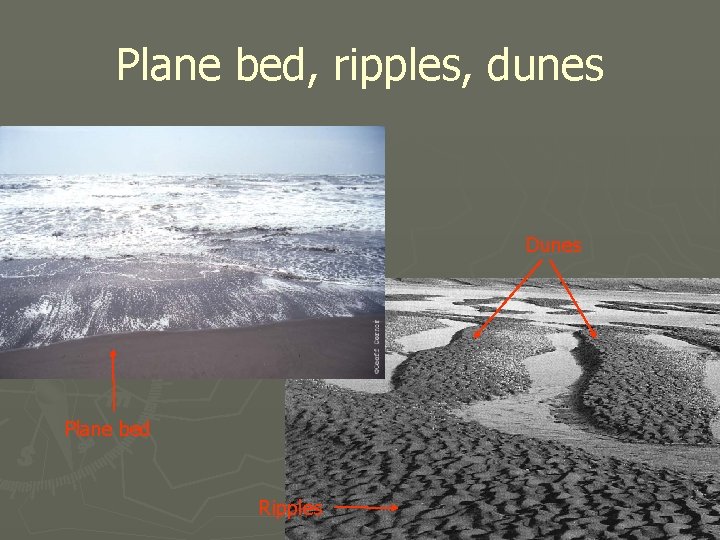 Plane bed, ripples, dunes Dunes Plane bed Ripples 
