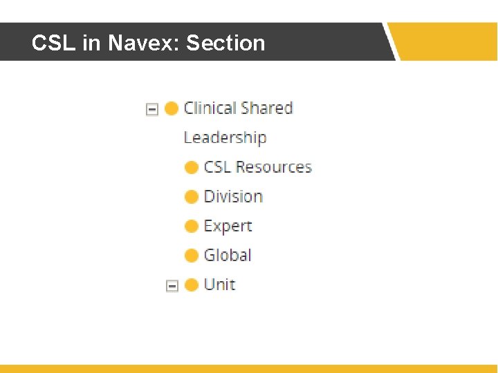 CSL in Navex: Section CSL in Navex: Section