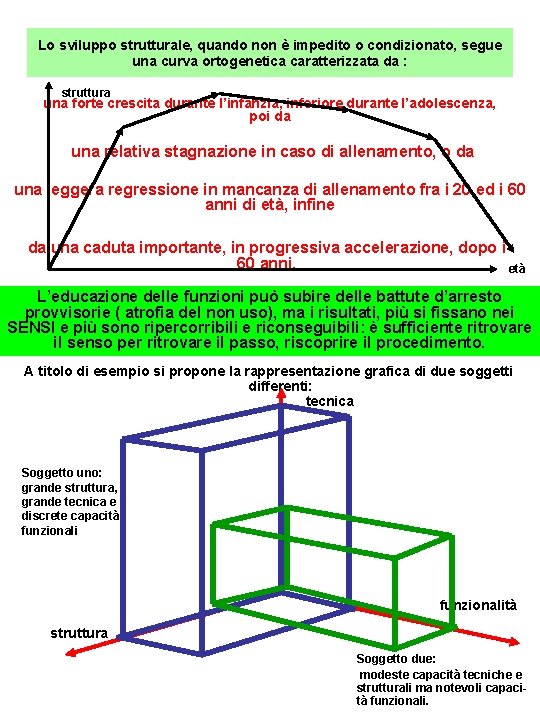 Lo sviluppo strutturale, quando non è impedito o condizionato, segue una curva ortogenetica caratterizzata