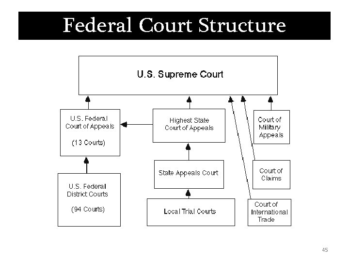 Federal Court Structure 45 Federal Court Structure 45