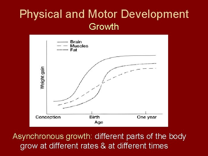 Physical and Motor Development Growth Asynchronous growth: different parts of the body grow at