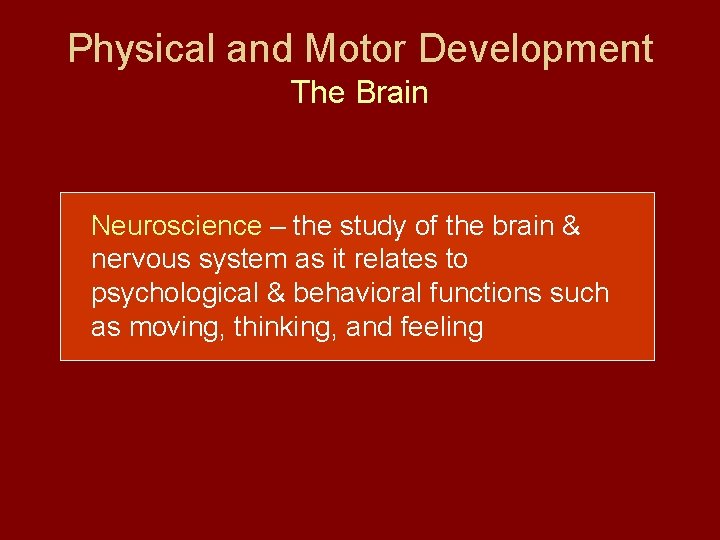 Physical and Motor Development The Brain Neuroscience – the study of the brain &