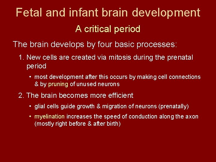 Fetal and infant brain development A critical period The brain develops by four basic