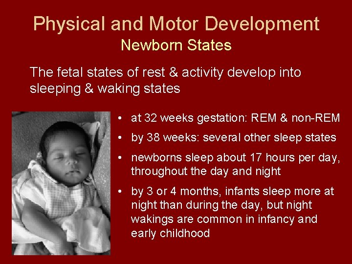 Physical and Motor Development Newborn States The fetal states of rest & activity develop