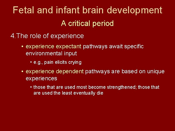 Fetal and infant brain development A critical period 4. The role of experience •