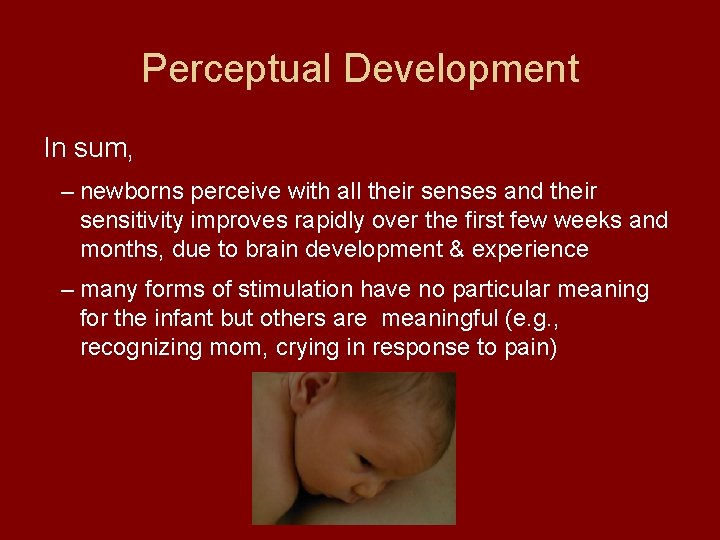 Perceptual Development In sum, – newborns perceive with all their senses and their sensitivity