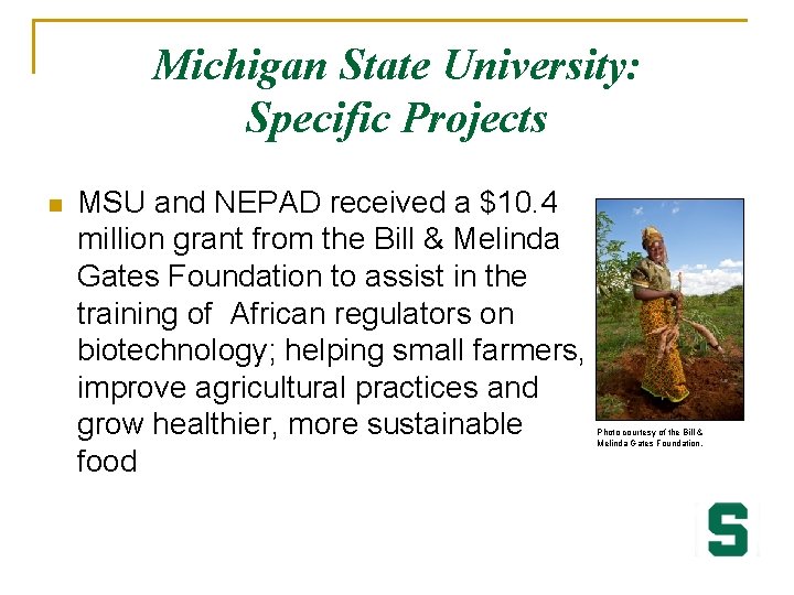 Michigan State University: Specific Projects n MSU and NEPAD received a $10. 4 million