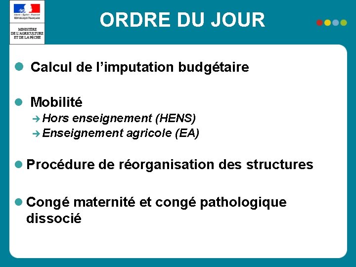 ORDRE DU JOUR Calcul de l’imputation budgétaire Mobilité Hors enseignement (HENS) Enseignement agricole (EA)