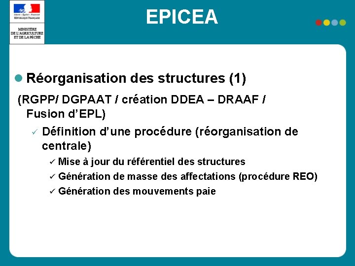 EPICEA Réorganisation des structures (1) (RGPP/ DGPAAT / création DDEA – DRAAF / Fusion